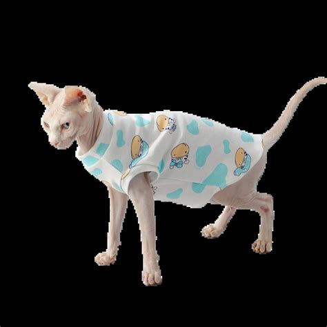 Cute Cartoon Sphynx Cat Clothes Shirt