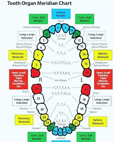 Pin By Stacy Jackson On Health And Fitness Holistic Dentistry Teeth Health Dental Health