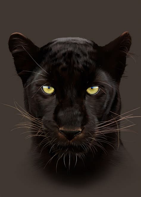 Panther On Behance