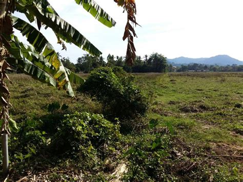 Jalan besar, jalan hospital, 3. Tanah Lot Banglo untuk dijual @ Kg Jeram Pasir Puteh ...