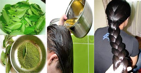 The united states is not one of the top 10 richest countries, notes business insider. Homemade Natural Hair Growth Oil