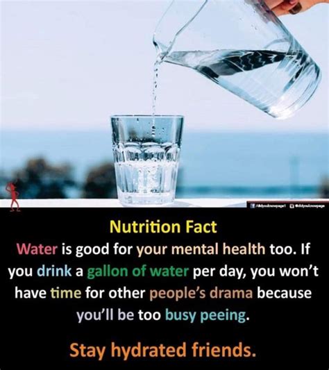 Nutrition Fact Er Is Good For Your Mental Health Too If You Drink A Gallon Of Water Per Day