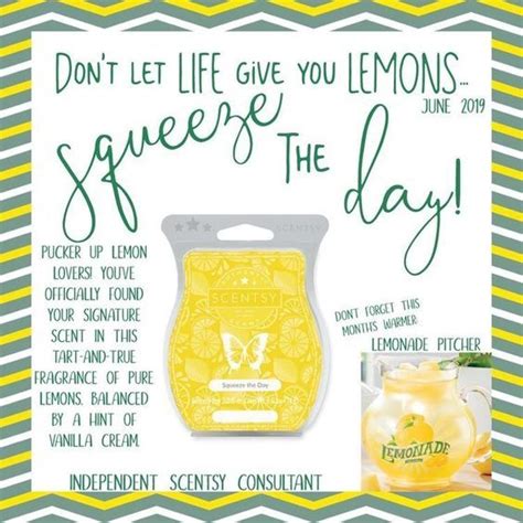 Scentsy Squeeze The Day Scentsy Scent Warmers Scentsy Consultant