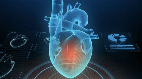 What Is Sudden Cardiac Death Understanding Sudden Cardiac Arrest And The