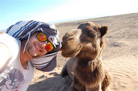 From wikipedia, the free encyclopedia. Excursión 4 días al Desierto de MERZOUGA desde MARRAKECH