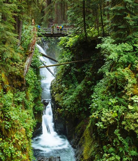 Your Guide To Hiking The Sol Duc Falls Trail Washington Is For