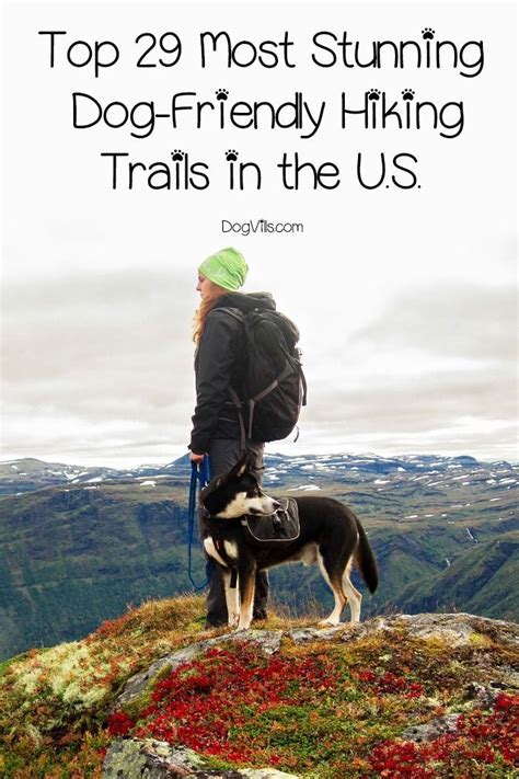 29 Stunning Dog Friendly Hiking Trails In The Us Dog Friendly