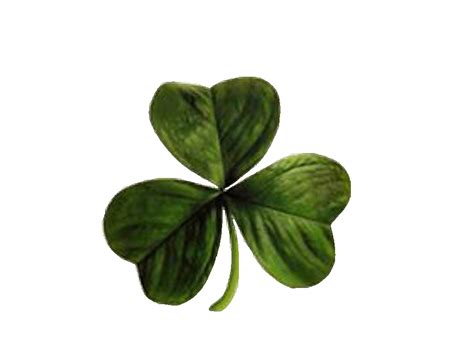 Ireland flag country nationality transparent png images download free png images, vectors, stock photos, psd templates, icons, fonts, graphics, clipart, mockups, with transparent background. Free Irish Clover, Download Free Clip Art, Free Clip Art ...
