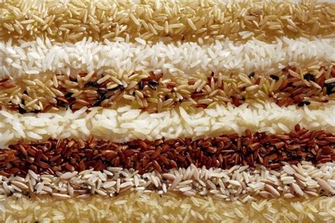 اسماء الأرز البني في مصر