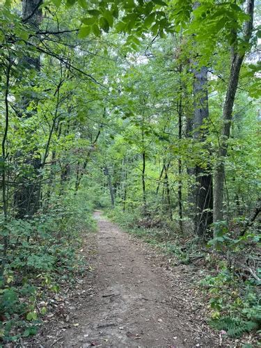 Best Hikes And Trails In Dells Of Wisconsin Natural Area Alltrails