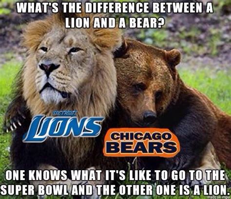 Lions Beat Bears Funny