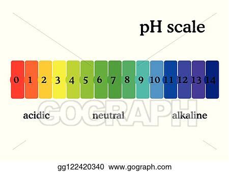 Vector Stock Ph Scale Diagram With Corresponding Acidic Or Alcaline Values Universal Ph