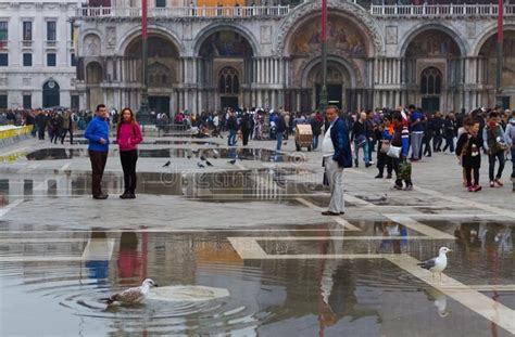 San Marco Square During The Flood Editorial Photo Image Of