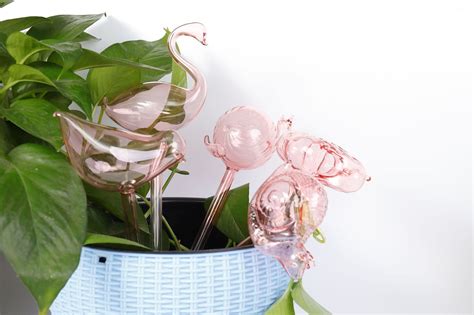 Indoor Plant Glass Watering Globes Self Watering Automatic Etsy Uk