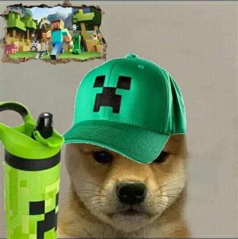 Halo Armor Doge Meme Dog Icon Clash Royale Doga Mug Shots Shiba
