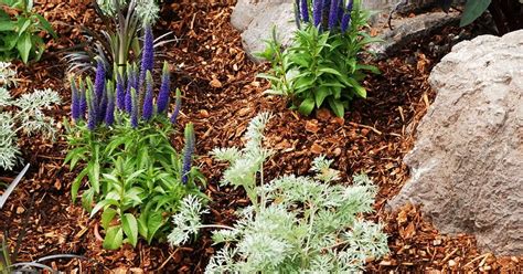 A japanese garden should be kept simple and natural. How To Mulch Your Garden and Why | Love The Garden