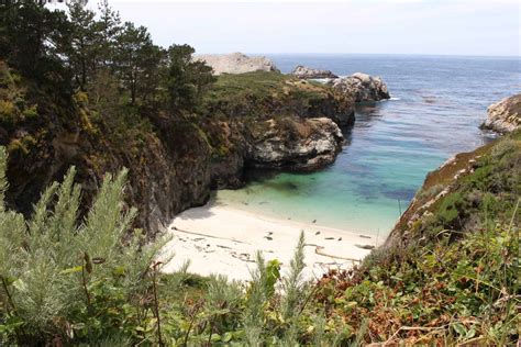 Point Lobos State Natural Reserve Guide Best Hikes And Views Getaway