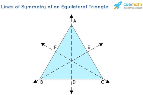 How Many Lines Of Symmetry Does An Equilateral Triangle Have Solved