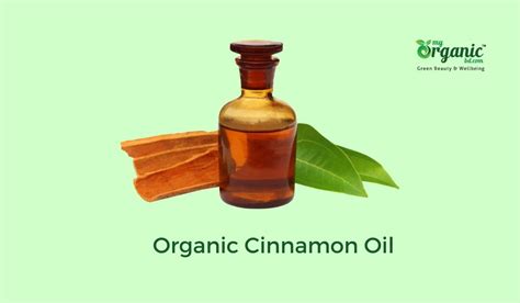 Amazing Organic Cinnamon Oil Benefits And More 2023