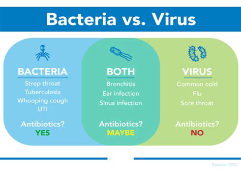 What Is The Difference Between Viral And Bacterial Infections Armada Hospital JLT Dubai