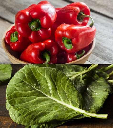 Green peas, tomatoes, red, green, and yellow bell peppers, asparagus, and sweet potatoes are all recommended for the first trimester. Foods To Eat When Pregnant: First Trimester Diet