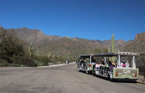 Trolley Ride Through The Arizona Desert Sabino Canyon Crawler