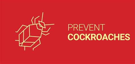 How To Prevent Cockroaches Dodson Pest Control