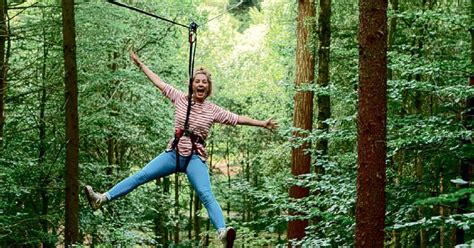 North Lincolnshire Go Ape Plans In Full Swing Scunthorpe Telegraph