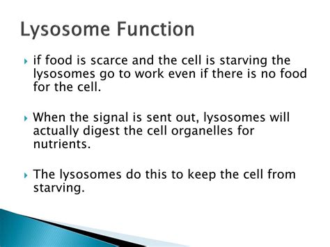 Ppt Lysosomes And Vacuoles Powerpoint Presentation Free Download