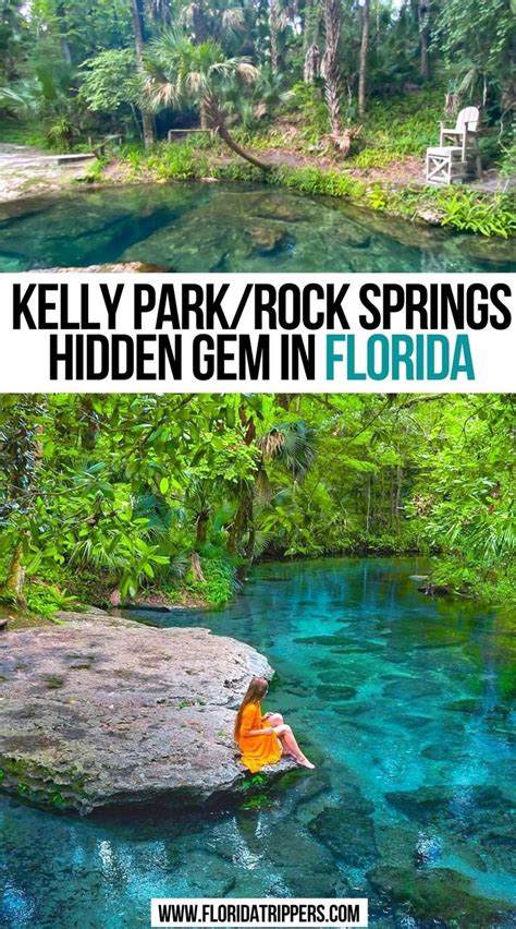 discover kelly park rock springs florida s hidden oasis