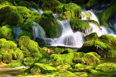 Nature Wallpapers Hd Desktop Images Amazing Views Green