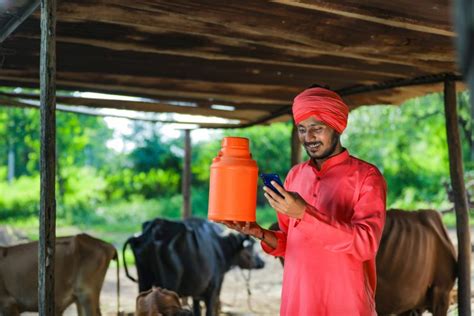 Nutreco Invests In Technology Platform To Improve Indias Dairy Farming