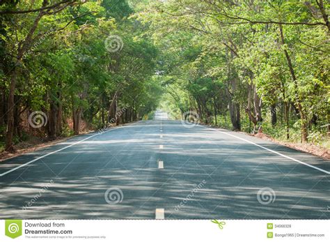 Beautiful Green Trees Along The Road Stock Photo Image Of Scene