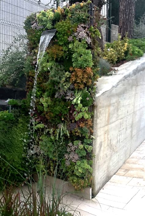 Vertical Succulent Garden With Integrated Outdoor Shower