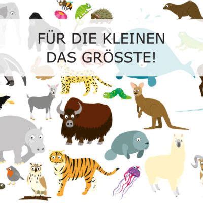 Maybe you would like to learn more about one of these? Dxf Vorlagen Schilf : Vektor pdf in dxf umwandeln mit ...