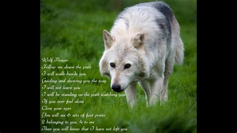 Wolf Poems Youtube