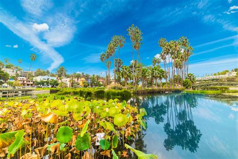 Best Parks In Los Angeles Lonely Planet