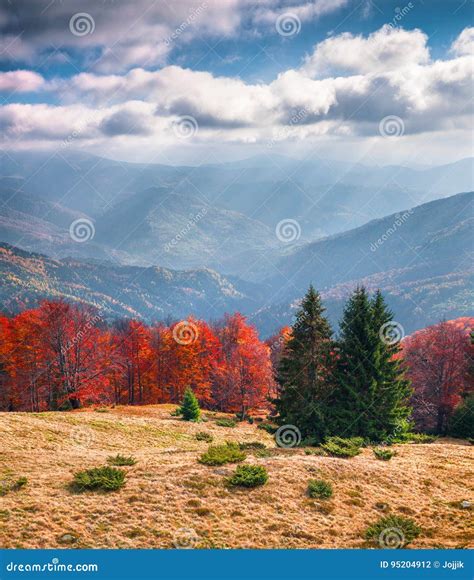 Beautiful Outdoor Scene In The Carpathian Mountains Stock Photo Image