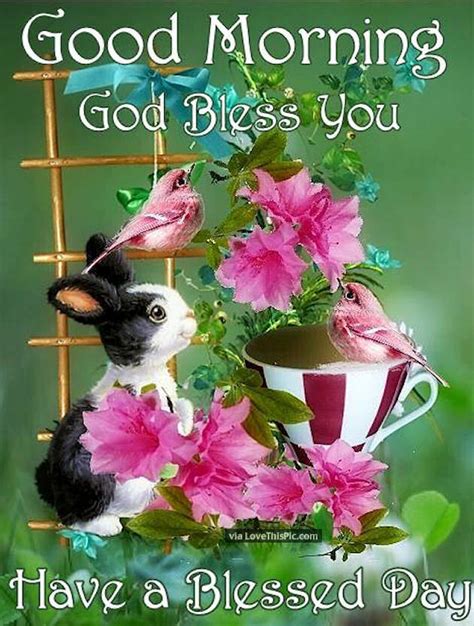 Good Morning God Bless You Have A Blessed Day Pictures Photos And