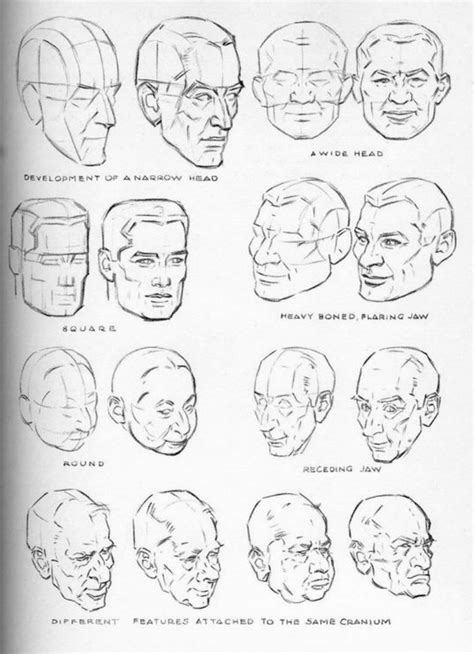 Drawing The Head And Hands Andrew Loomis Andrew Loomis Drawing Heads