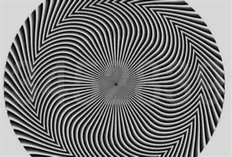 10 Mind Blowing Optical Illusions That Went Viral