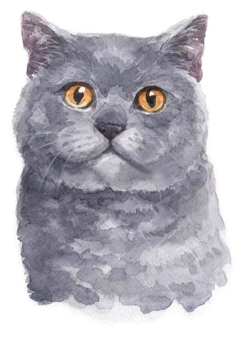 British Shorthair 😸 Watercolor Cat Cat Art Cat Painting