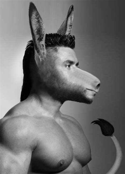 Intense Donkey Dude By The Aghama On Deviantart