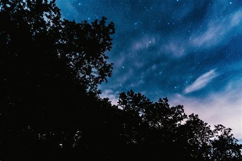 Wallpaper Starry Sky Trees Night Stars Clouds Dark Hd Widescreen