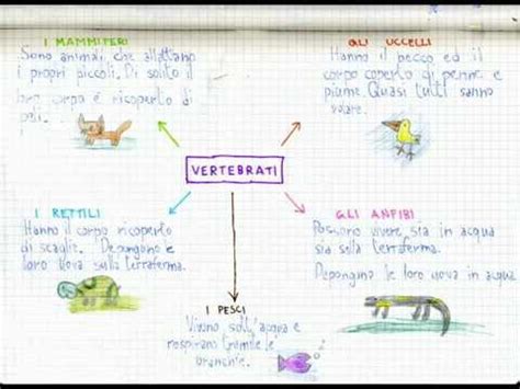 "La canzone dei vertebrati"+ testo. (scienze Scuola Primaria) - YouTube