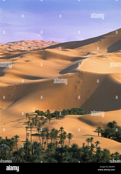 Algeria Sahara Sand Dunes Oasis Igli Palms Africa North Africa
