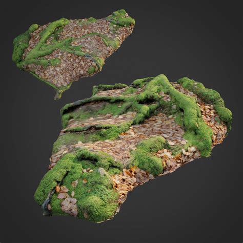 3d Scanned Nature Forest Stuff 003 3d Model 15 Max Free3d