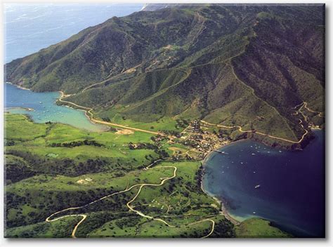 The Isthmus At Catalina Island Landscape