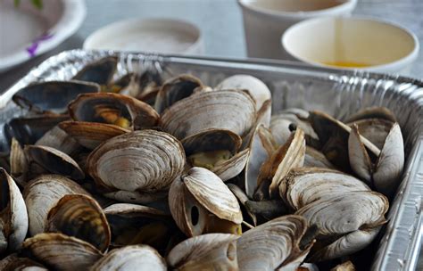 Allow the remaining closed clams to cook for another 3 to 4 minutes and scoop out the newly opened clams. New England Steamed Clams | Guide & Recipes - New England ...