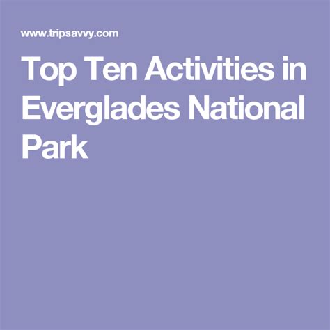 Top 10 Activities To Enjoy During Your Visit To Everglades